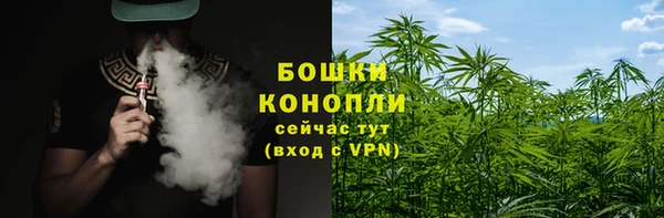 стаф Горняк