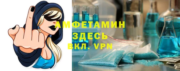 стаф Горняк