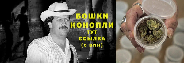 дживик Горнозаводск