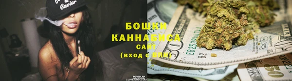 стаф Горняк