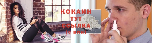 дживик Горнозаводск