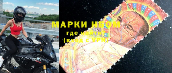 стаф Горняк