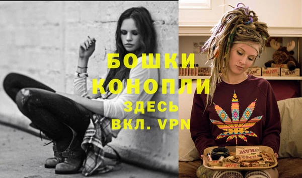 дживик Горнозаводск