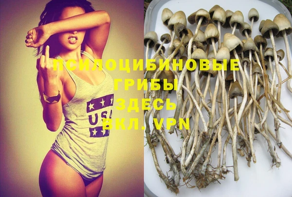 дживик Горнозаводск