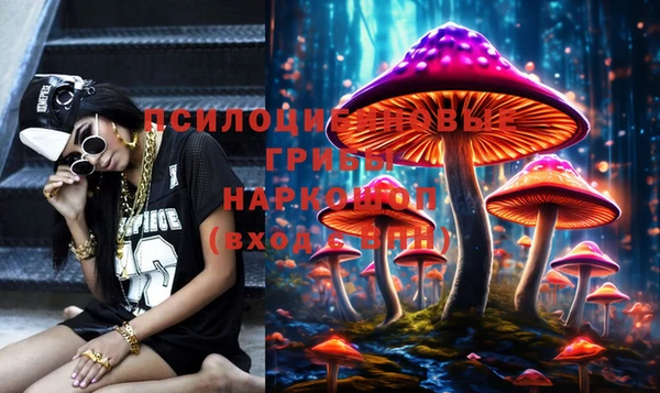 дживик Горнозаводск