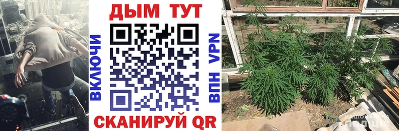 Конопля семена  Купить где  Островной 